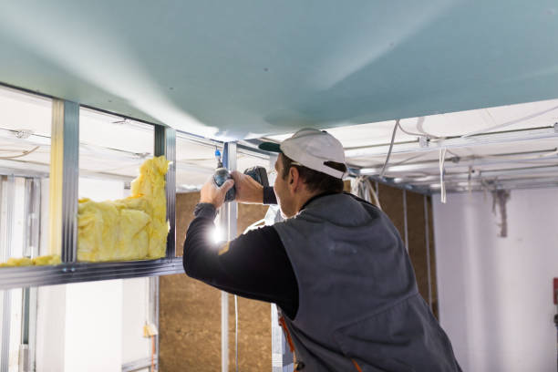Best Blown-in Insulation in El Rancho, NM