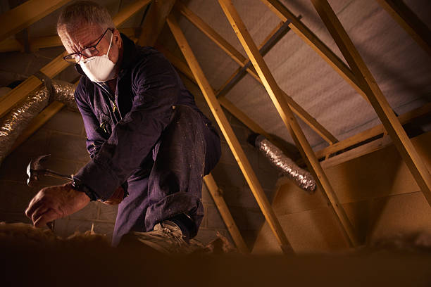 Professional Insulation Contractor in El Rancho, NM