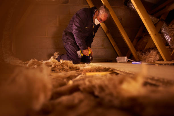 Best Eco-Friendly Insulation in El Rancho, NM